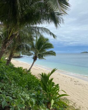 Michelle Ackerley Instagram - Fiji 🇫🇯❤️🏉