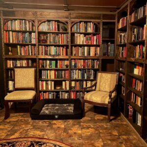 Michelle Belanger Instagram - My little slice of heaven #bookstagram #shelfie #library #witchydecor