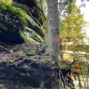 Michelle Belanger Instagram - Spent some time in a cabin in the woods. No cell reception. No Internet. Stars at night, birdsong through the day. #hockinghills #outdoors #nature #vacation #hiking #ohio #statepark #trees