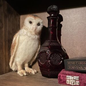 Michelle Belanger Instagram - My #SuperbOwl 

His name is Bowie. #feltedanimals #owl #barnowl