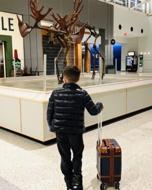 Michelle Clunie Instagram - Dashiell is the most delightful person to travel with. Somehow he made a two hour layover at 5AM in Ohio fun. His curiosity led us to an illy coffee vending machine on the other end of the airport after google searching and discussing every piece of art we came across. Stay curious Dashiell- it’s your strength my love 💕