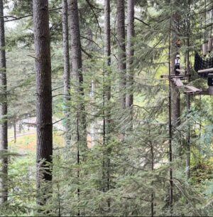 Michelle Clunie Instagram - Columbia Gorge, Skamania Lodge Ariel Park. Dashiell and I were fifty feet up on the side of a tree and I looked at Dashiell and said, “ I have to be honest, I’m not sure I can do this”. He looked at me and said, “ You got this Mom. Take a deep breath and don’t look down”. So I let him lead in that moment. He was a great leader. He was calm and kind and helped me through the tough moment but he also pushed me. Afterward, he told me not to feel bad.. everyone is afraid of something. Here he is leading the way. You’re a great leader Dashiell and you have always been an incredible teacher. You inspire with ease 💕 #thegreatonesinspire