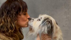 Michelle Forbes Instagram - #tbt bts from a few months ago doing a fun shoot w @charlienunnphotography for their adoption book coming soon with some random dog that keeps following me around.