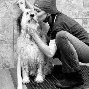 Michelle Forbes Instagram - Dysfunctional Dogwashing 🤍