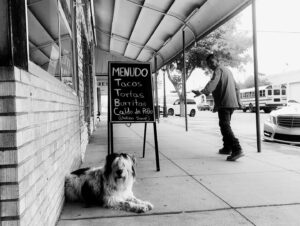 Michelle Forbes Instagram - TUCSON, AZ

fotos by @jeffreyprattgordon @jpg.s.eye
#tucson #roadtrip #adventureswirhhenry #adoptdontshop #ilovemymutt