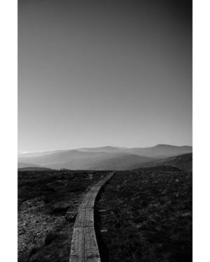 Michiel Huisman Instagram - Wicklow Mountains 
Ireland 🇮🇪