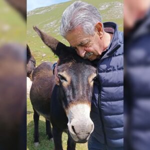 Miguel Ángel Revilla Instagram - En la era de los vuelos supersónicos, Google, Amazon, Telepizza... no olvidemos que el burro ha sido el animal que durante siglos ha hecho más soportable la vida de los españoles. Yo los adoro. Hoy en Áliva.