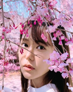 Miho Karasawa Instagram - 🌸

#TRUEさん
#唐沢美帆
#anime
#anisong
#アニメソング
#SAKURA
#桜
#SAKURAコンチェルト