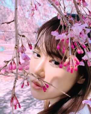 Miho Karasawa Instagram - 🌸

#TRUEさん
#唐沢美帆
#anime
#anisong
#アニメソング
#SAKURA
#桜
#SAKURAコンチェルト