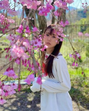 Miho Karasawa Instagram - 🌸

#TRUEさん
#唐沢美帆
#anime
#anisong
#アニメソング
#SAKURA
#桜
#SAKURAコンチェルト