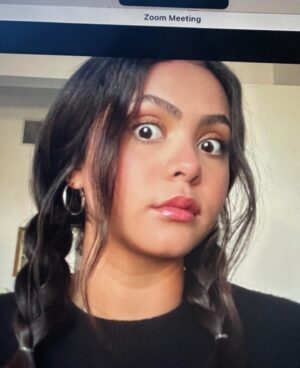 Miia Harris Instagram - forever doing practice zoom calls by myself before a meeting ✌️