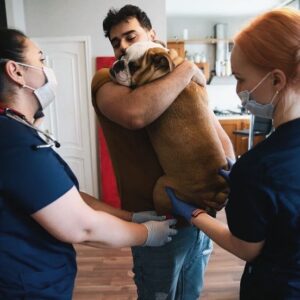 Mikael Aramyan Instagram - Скажу сразу, Гомер здоров!) Плановый осмотр домашнего животного ОЧЕНЬ важен, так как питомец не может сказать, где болит. И, часто, о болезни долго ничего неизвестно. Поэтому мы выбрали стратегию - делать регулярный чек-ап (собачье ТО)😉. Спасибо Наталье Викторовне за терпение, понимание и любовь к Гомеру!😊 
Весь процесс любви и понимания запечатлен в карусели 🙂

Мы вызвали мобильную бригаду, так как никак не могли выехать на чек-ап в будни. Очень рад, что есть такая услуга, так как походы в ветеринарные клиники - стресс для нас с Гомером) 😬
Мобильные врачи могут провести осмотр, взять анализы, провести вакцинацию, а в сложном случае - отвезти в клинику.

Сама клиника, кстати, на Алексеевской рядом с метро. Честно говоря, она больше похожа на больницу из американского сериала про врачей (современная и космическая) - смотрите сами в их аккаунте @vet.city.center. Там есть разные зоны ожидания, чтобы собаки и кошки не нервничали из-за встреч, реанимация, стационар, куча редкой аппаратуры и специалисты,  вплоть до невролога и дерматолога. Работает круглые сутки без выходных и праздников.

А еще, что супер важно🙌🏽, там же есть adoption-центр @vet.city.adoption - с животными, которым нужен дом. Все они прошли лечение, стерилизованы, чипированы и ждут своих людей. Кому нужен друг - настоятельно советую. Будущие друзья ждут вас.❤️
Всем здоровья, хороших анализов и здоровых хвостов!) 
#гомер#vetcity#vetcitycenter