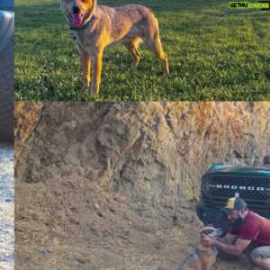 Mike Escamilla Instagram - NEW PUPPY ALERT! Welcome to the Family “Bronco” #teambronco_ambassador #lunaberlin got to name him and we love it, although it wouldn’t be so confusing if @fordbronco didn’t name a SUV after our dog! After losing our beloved Lucy it took awhile to consider a new dog, but here we are. He’s got some big paws to fill, but he’s on his way! #betheadventure #puppy #cattledog