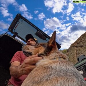 Mike Escamilla Instagram - NEW PUPPY ALERT! Welcome to the Family “Bronco” #teambronco_ambassador #lunaberlin got to name him and we love it, although it wouldn’t be so confusing if @fordbronco didn’t name a SUV after our dog! After losing our beloved Lucy it took awhile to consider a new dog, but here we are. He’s got some big paws to fill, but he’s on his way! #betheadventure #puppy #cattledog
