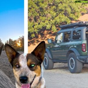 Mike Escamilla Instagram - NEW PUPPY ALERT! Welcome to the Family “Bronco” #teambronco_ambassador #lunaberlin got to name him and we love it, although it wouldn’t be so confusing if @fordbronco didn’t name a SUV after our dog! After losing our beloved Lucy it took awhile to consider a new dog, but here we are. He’s got some big paws to fill, but he’s on his way! #betheadventure #puppy #cattledog