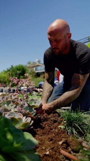 Mike Pyle Instagram - Check out this design-on-site from last year. I went into this project with an idea of the client’s wants and needs for the space and we discussed plant material, but the design itself came to fruition throughout the day. This adventurous process isn’t for everyone, but it is fun when I get the chance to flex my creative muscle on the spot. #MPD #MikePyleDesign #Aesthetic #Design #OutdoorLiving #LandscapeDesign #Landscaping #DesignOnSite #DroughtTolerantPlants