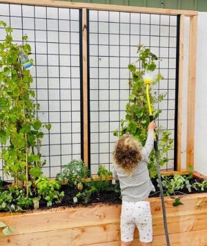 Mike Pyle Instagram - Teach them young! 💪🏻🌱 Did you know, studies show that gardening increases math and science skills and even improves standardized test scores in young kids? Come back later this week and watch the video on how I made this garden bed with @wildhogproducts 6ga panels and track system! #MPD #MikePyleDesign #Aesthetic #Design #OutdoorLiving #LandscapeDesign #Landscaping