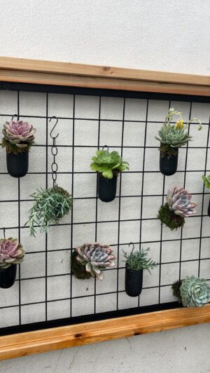 Mike Pyle Instagram - Here’s another look at the quick and easy #DIY #LivingWall Mike Pyle made with a #WildHog panel and track system. Check out the “how to” reel for instructions! #WhatWillYouBuild #WildHogProducts #WildHogPanels