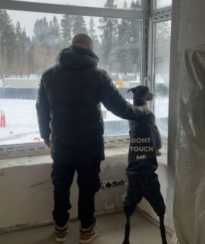Mikhail Stognienko Instagram - Смотри, Симба, скоро это всё станет твоим )