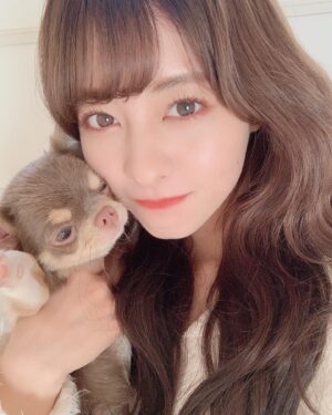 Miki Hashima Instagram - めるが可愛いすぎて愛おしい💙🥺

毎日、わたしがままだよ~って言うけど

まぁ負けるよね😌

@mei__kmyd ←主

#チワワ 
#チワワのいる暮らし 
#女の子
#上のハッシュタグ付けてみたかった