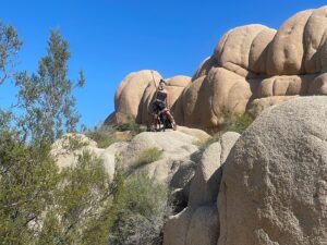 Miki Ishikawa Instagram - Sprocket is def a house dog ⛺️🌵
#joshuatree