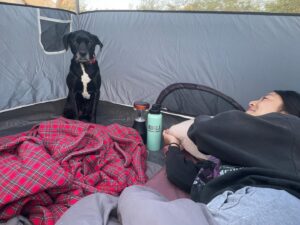 Miki Ishikawa Instagram - Sprocket is def a house dog ⛺️🌵
#joshuatree