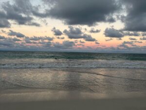 Miki Ishikawa Instagram - To sum things up 🤙🏼🌺🐢🦈🌊

Only place that still feels like home when I touch down. Heart is full 🤍