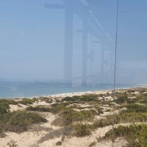 Mila Moreira Instagram - Comporta, Portugal