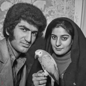 Milad Nouri Instagram - ‌
امکان ایجاد تصویر با استفاده از #هوش_مصنوعی، به بارد گوگل هم اضافه شد:
https://bard.google.com
‌
به نظر می‌رسه #گوگل بارد در ایجاد چهره ایرانی‌ها نسبت به ابزارهای مشابه عملکرد بهتری داره و تصاویر ساخته شده به واقعیت نزدیک‌تره.
‌
ازش خواستم  تصویری از یک زن و مرد جوان ایرانی رو به همراه طوطی خاکستری‌شون (کاسکو) در سال‌های مختلف بسازه:
‌
تصویر ۱: دهه ۵۰ شمسی
تصویر ۲: دهه ۶۰
تصویر ۳: دهه ۷۰
تصویر ۴: دهه ۸۰
تصویر ۵: سال ۱۴۰۰
‌
بقیه ابزارها به محض اضافه شدن کلمه ایرانی به توصیف تصویر، کلا می‌رن توی یک حال و هوای دیگه.
‌
من با آی‌پی امریکا (وی‌پ‌ان) تست کردم. اما ظاهرا با آی‌پی برخی کشورهای اروپایی این قابلیت قابل استفاده نیست.