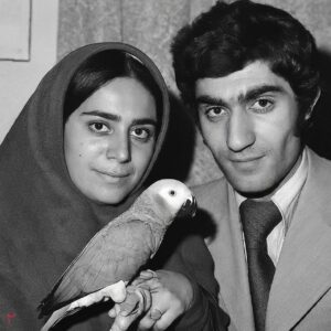 Milad Nouri Instagram - ‌
امکان ایجاد تصویر با استفاده از #هوش_مصنوعی، به بارد گوگل هم اضافه شد:
https://bard.google.com
‌
به نظر می‌رسه #گوگل بارد در ایجاد چهره ایرانی‌ها نسبت به ابزارهای مشابه عملکرد بهتری داره و تصاویر ساخته شده به واقعیت نزدیک‌تره.
‌
ازش خواستم  تصویری از یک زن و مرد جوان ایرانی رو به همراه طوطی خاکستری‌شون (کاسکو) در سال‌های مختلف بسازه:
‌
تصویر ۱: دهه ۵۰ شمسی
تصویر ۲: دهه ۶۰
تصویر ۳: دهه ۷۰
تصویر ۴: دهه ۸۰
تصویر ۵: سال ۱۴۰۰
‌
بقیه ابزارها به محض اضافه شدن کلمه ایرانی به توصیف تصویر، کلا می‌رن توی یک حال و هوای دیگه.
‌
من با آی‌پی امریکا (وی‌پ‌ان) تست کردم. اما ظاهرا با آی‌پی برخی کشورهای اروپایی این قابلیت قابل استفاده نیست.