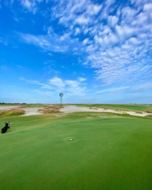 Miles Fisher Instagram - Florida: come for the🏌️‍♂️stay for the 🐊!!