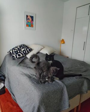 Mimosa Willamo Instagram - Päikkäriprinssi Heimo on asunut meillä vuoden<3