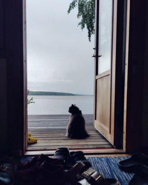 Mimosa Willamo Instagram - Jos saisin päättää, joisin jokaiset iltapäiväkahvit landen terdellä Nyyppä tai Hemppa sylissä.
