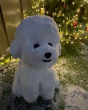 Min Woo-hyuk Instagram - 2023 new snowman collection 
비숑 프리제

어제 만들려고 했는데 눈이 안 뭉쳐서 오늘 만든 눈사람
다행이 잘 뭉쳐서 한시간만에 만든 세번째 작품!