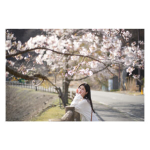 Minori Chihara Instagram - #桜 #桜ポートレート #ポートレート #山梨 #本栖湖