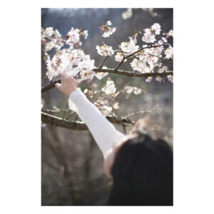Minori Chihara Instagram - #桜 #桜ポートレート #ポートレート #山梨 #本栖湖