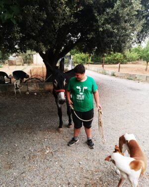 Miquel Montoro Instagram - Entre dos burros todo quadra😂😂