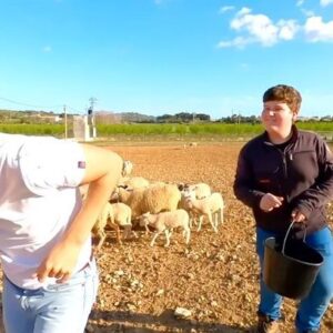 Miquel Montoro Instagram - Sigues tu!! Ja disponible a Youtube!! 🌳🍃☀️ https://youtu.be/i_27Zwk5hOk