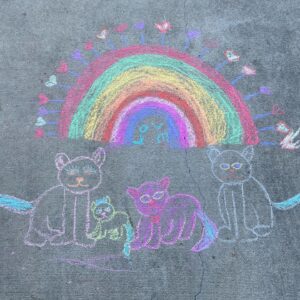 Miranda Frigon Instagram - Happy Earth Day! 🌎 ☀️ 🌈 🌱 My lil buddy and I are just decorating the earth and spreading some love in the neighborhood! There are so many ways we can take better care of our planet...I personally plan to take shorter showers, eat less meat, and continue recycling like a maniac. Please share below ways that you plan to change your habits to help the earth so we can all read the reminders!! 🤍🌱🙏🏼