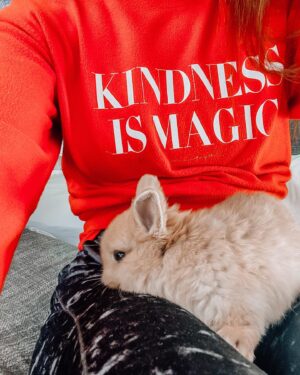 Miranda Frigon Instagram - Oh, my heart! ❤️ There’s nothing more peaceful than holding a snuggly, fluffy baby bunny. 🐰  #babybunny #snuggletime #inthemoment #eastervibes