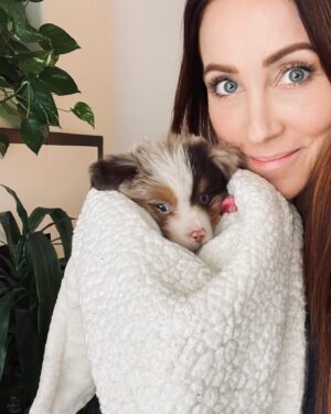 Miranda Frigon Instagram - Hiiieee!! I’d like to introduce you all to my new child Skyla-Roux (but we mostly call her Roux bear or pup-pup) She’s a teeny tiny Aussie Shepherd and is the absolute BEST!! So grateful for this sweet, energetic, loving little soul that has brought so much joy into our family ;) 💕#puppylove #aussieshepherd #newfamilymember #lovelovelove @brigs_aussies