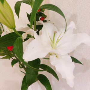 Misa Kubota Instagram - ❇︎
.
.
.

今日飾ったお花です。 ・オリエンタルリリー(ホワイトスピア) 『純潔』『威厳』 ・スプレーマム 『清らかな愛』『高潔』『気持ちの探りあい』 ・ヒペリカム 『悲しみは続かない』『きらめき』

大きなユリの花はとっても
癒されるし、凄く部屋が
いい匂いになりました❤︎
.
.
.
❇︎ #花 #花好き #お花好き #花が好き #花の写真 #花のある生活 #今日の花 #フラワー #花のある暮らし