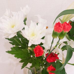 Misa Kubota Instagram - ❇︎
.
.
.

今日飾ったお花です。 ・オリエンタルリリー(ホワイトスピア) 『純潔』『威厳』 ・スプレーマム 『清らかな愛』『高潔』『気持ちの探りあい』 ・ヒペリカム 『悲しみは続かない』『きらめき』

大きなユリの花はとっても
癒されるし、凄く部屋が
いい匂いになりました❤︎
.
.
.
❇︎ #花 #花好き #お花好き #花が好き #花の写真 #花のある生活 #今日の花 #フラワー #花のある暮らし