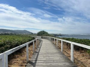 Mitra Jouhari Instagram - I just spent the last 11 days walking 170miles from Porto, Portugal to Santiago de Compostela, to the huge cathedral you see in the final slide. (I took the Portuguese Coastal route of the Camino de Santiago). This was so challenging, beautiful, validating, exciting, CHALLENGING, and special. I feel so lucky to get to experience something like this and feel such gratitude for the support from loved ones I received while doing this hike. I met so many great people and had so much time to myself - both wonderful. Last year I experienced a lot of physical and emotional challenges and this made me feel so much more connected to… everything!!! LOL. I truly can’t believe I did it. I feel so strong!!! And tired 😎❤️🌸💐🌺🌷🌼