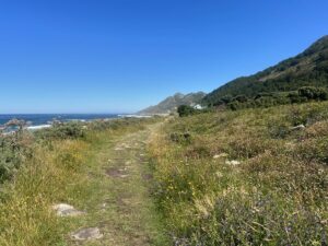 Mitra Jouhari Instagram - I just spent the last 11 days walking 170miles from Porto, Portugal to Santiago de Compostela, to the huge cathedral you see in the final slide. (I took the Portuguese Coastal route of the Camino de Santiago). This was so challenging, beautiful, validating, exciting, CHALLENGING, and special. I feel so lucky to get to experience something like this and feel such gratitude for the support from loved ones I received while doing this hike. I met so many great people and had so much time to myself - both wonderful. Last year I experienced a lot of physical and emotional challenges and this made me feel so much more connected to… everything!!! LOL. I truly can’t believe I did it. I feel so strong!!! And tired 😎❤️🌸💐🌺🌷🌼