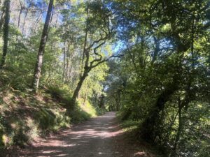 Mitra Jouhari Instagram - I just spent the last 11 days walking 170miles from Porto, Portugal to Santiago de Compostela, to the huge cathedral you see in the final slide. (I took the Portuguese Coastal route of the Camino de Santiago). This was so challenging, beautiful, validating, exciting, CHALLENGING, and special. I feel so lucky to get to experience something like this and feel such gratitude for the support from loved ones I received while doing this hike. I met so many great people and had so much time to myself - both wonderful. Last year I experienced a lot of physical and emotional challenges and this made me feel so much more connected to… everything!!! LOL. I truly can’t believe I did it. I feel so strong!!! And tired 😎❤️🌸💐🌺🌷🌼