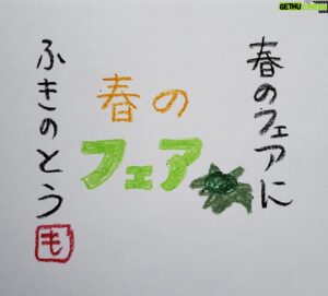 Mo Chugakusei Instagram - フェアに添えるの、ふきのとう◎