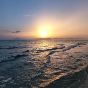 Mohamed Ali Ben Jemaa Instagram - Bonjour ...صباح النور