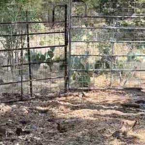 Mohamed Bamba Instagram - Just cause I feel like I haven’t made y’all laugh in a while 😂 @peta no animals were harmed during my lil trip to @ketterman_ranch 🫠🤣
