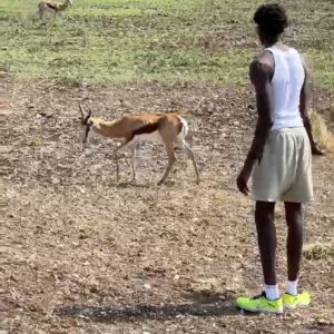 Mohamed Bamba Instagram - Just cause I feel like I haven’t made y’all laugh in a while 😂 @peta no animals were harmed during my lil trip to @ketterman_ranch 🫠🤣